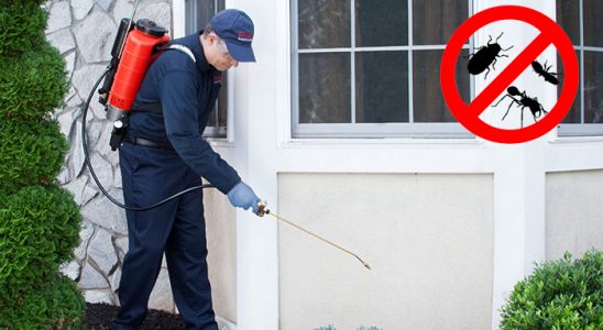 Gümüşova Kene İlaçlama böcek ilaçlama ve haşere kontrolü — ilaclama-tr.com